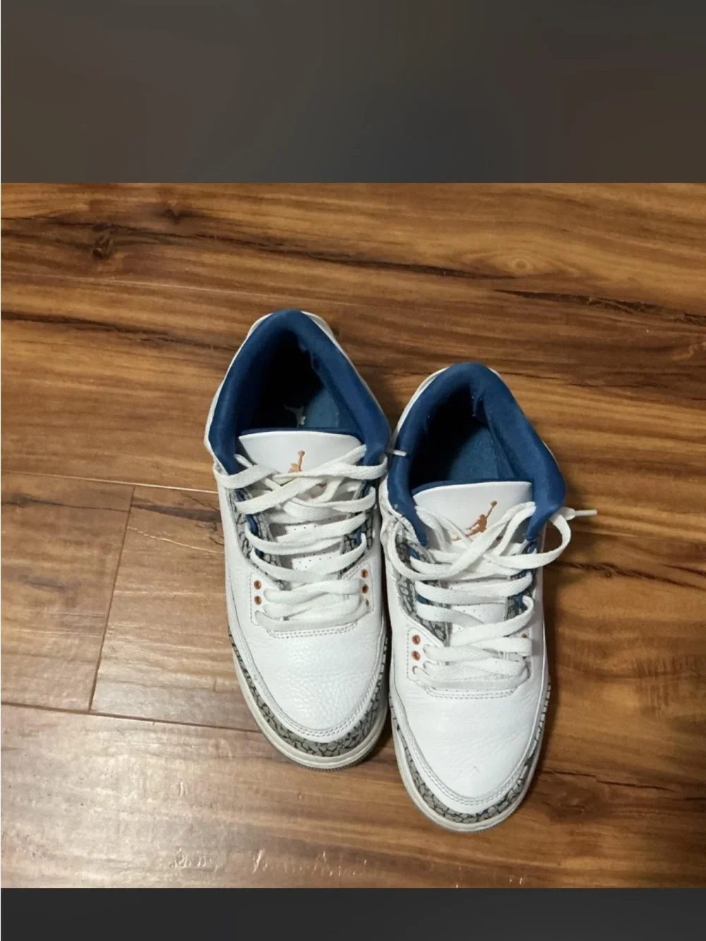 Jordan Men's White and Blue Retro Basketball Sneakers with Elephant Print